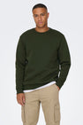 Sweater met ronde hals Groen - ONLY & SONS®