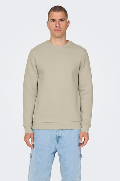 Pull-over gris d'ONLY & SONS, avec des manches longues et un col rond, porté avec un jean léger.