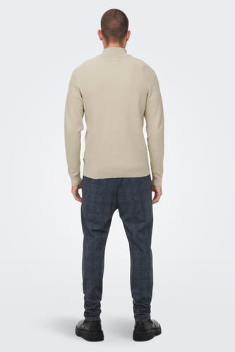Ecru rolkraagtrui van ONLY & SONS®, effen gebreid, gecombineerd met geruite pantalon en zwarte schoenen, gezien vanaf de achterkant.
