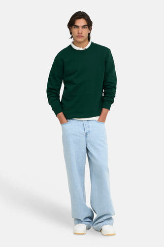 Sweater met ronde hals groen - ONLY & SONS®
