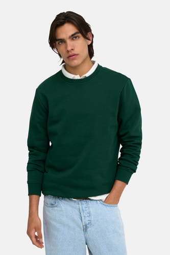 Sweater met ronde hals groen - ONLY & SONS®