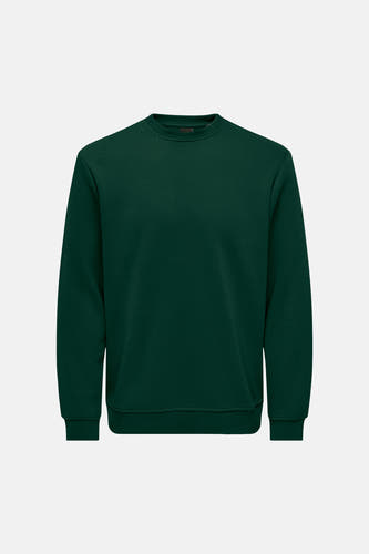 Sweater met ronde hals groen - ONLY & SONS®