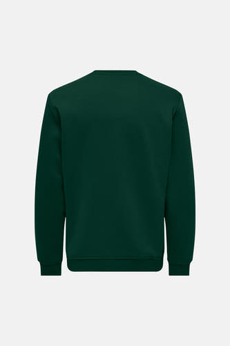 Sweater met ronde hals groen - ONLY & SONS®