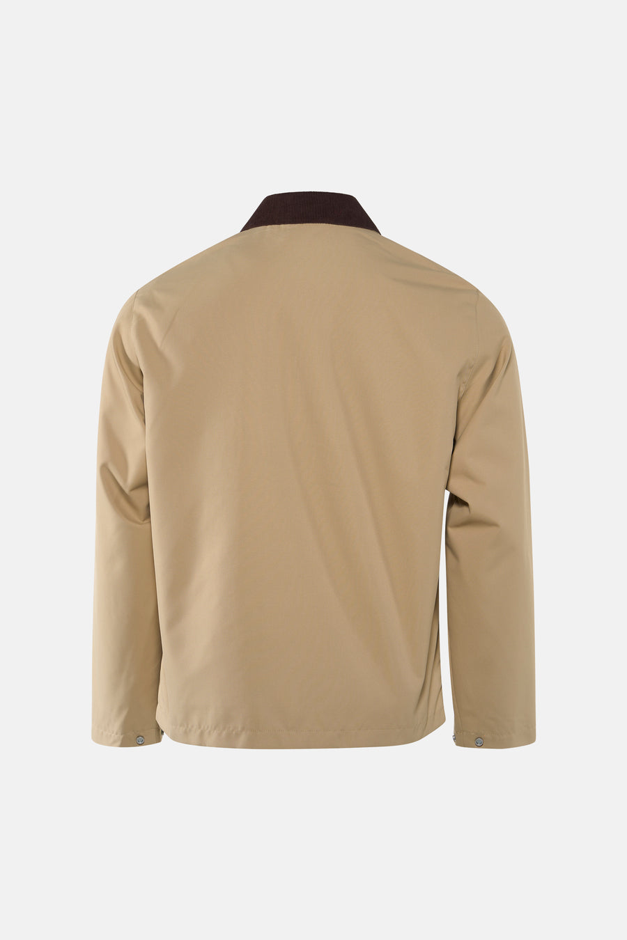 Beige korte jas van ONLY & SONS® met een bruine ribgebreide kraag, achterkant weergegeven.