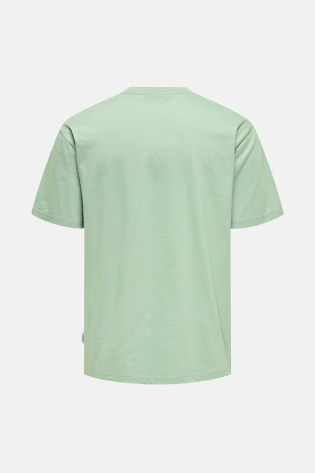 Groen T-shirt met korte mouwen van ONLY & SONS, gezien van achteren.