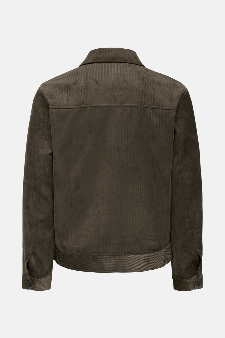 Korte jas - bruin - ONLY & SONS® - 2