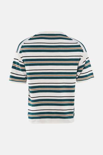 Multicolor gestreept T-shirt van ONLY & SONS® met witte, donkergroene, bruine en zwarte strepen, achteraanzicht.