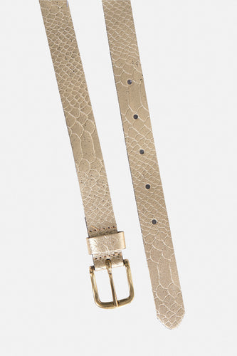 Riem - goud - Legend