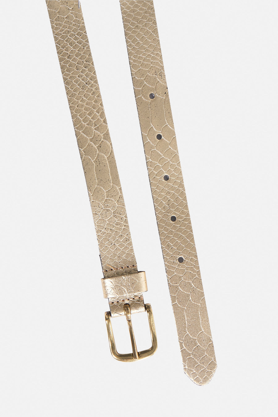 Riem - goud - Legend