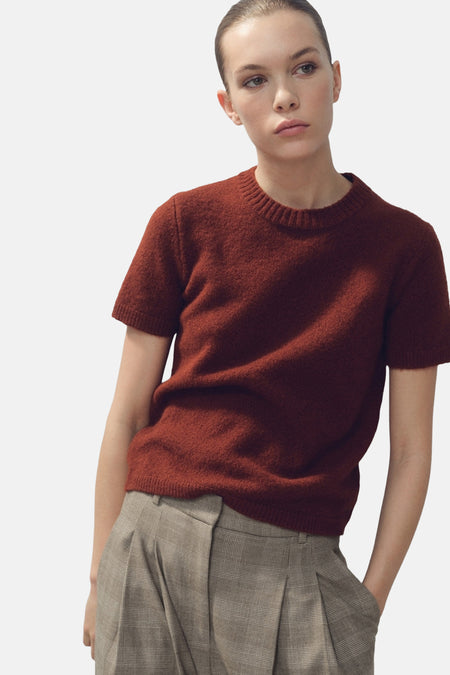 Pull met ronde hals - bruin