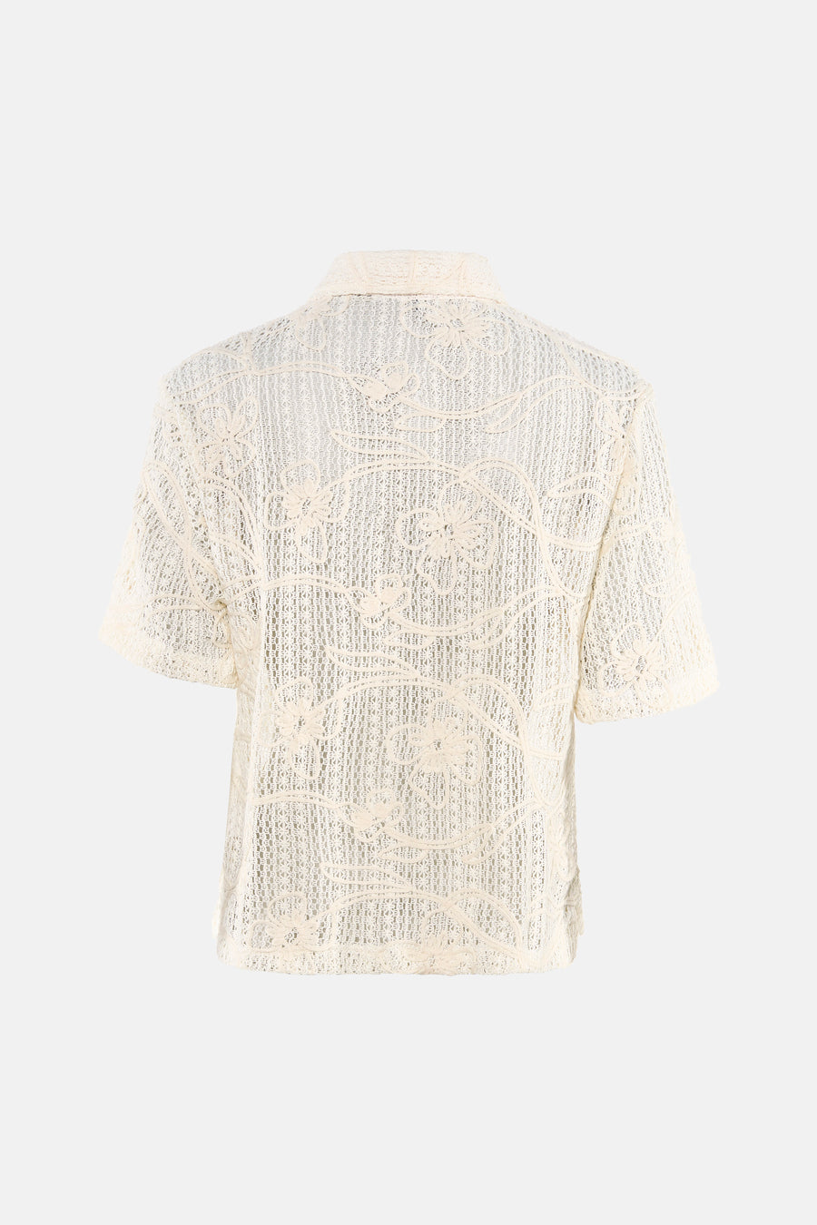 Beige blouse met korte mouwen van Terra di Siena, met een opengewerkt kanten bloemenpatroon, achteraanzicht.