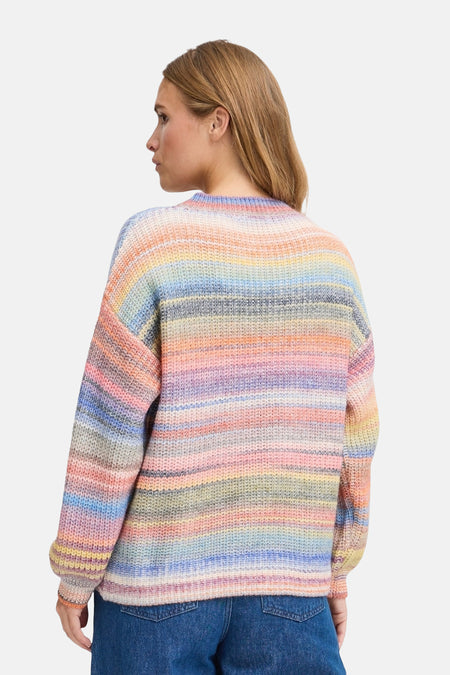 Pull met ronde hals - multicolor