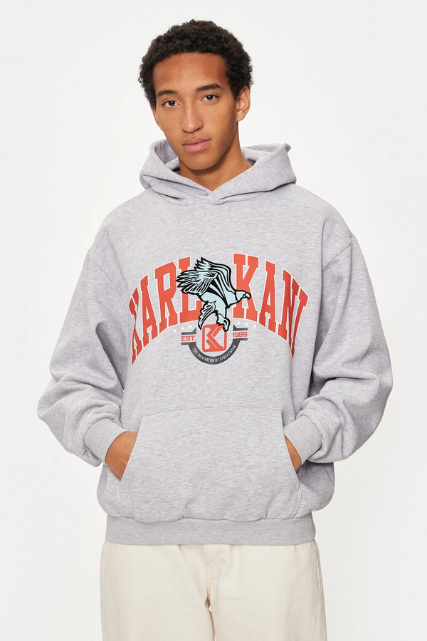 Sweater met kap Grijs - KARL KANI