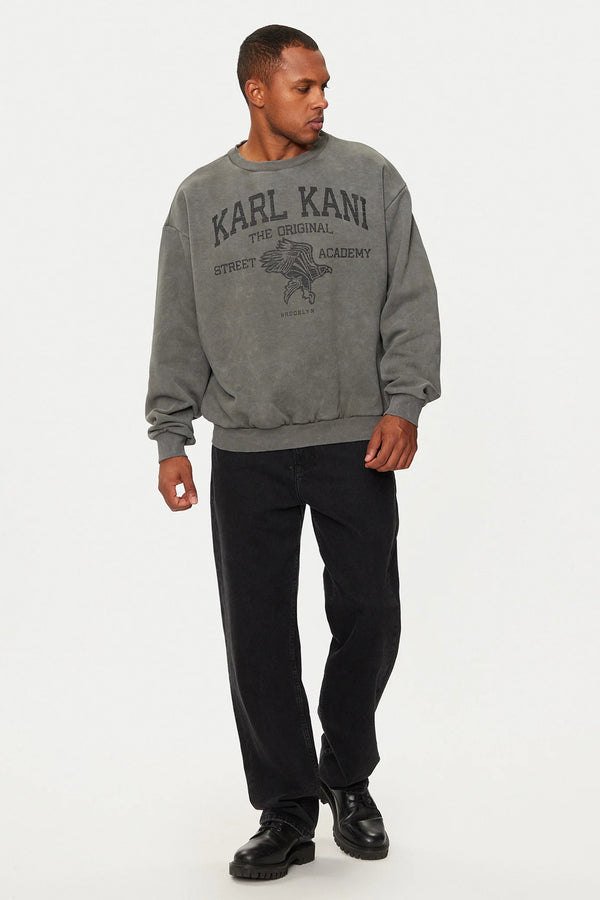 Sweater met ronde hals Grijs - KARL KANI