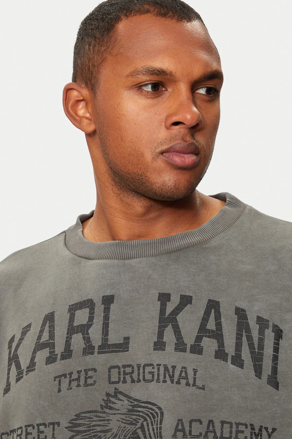 Sweater met ronde hals Grijs - KARL KANI