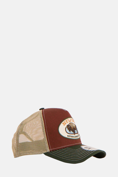 Meerkleurige pet van New Era, met een bison-embleem aan de voorkant.