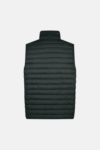 Kaki bodywarmer van Cars, doorgestikt met een opstaande kraag en logo op de rug.
