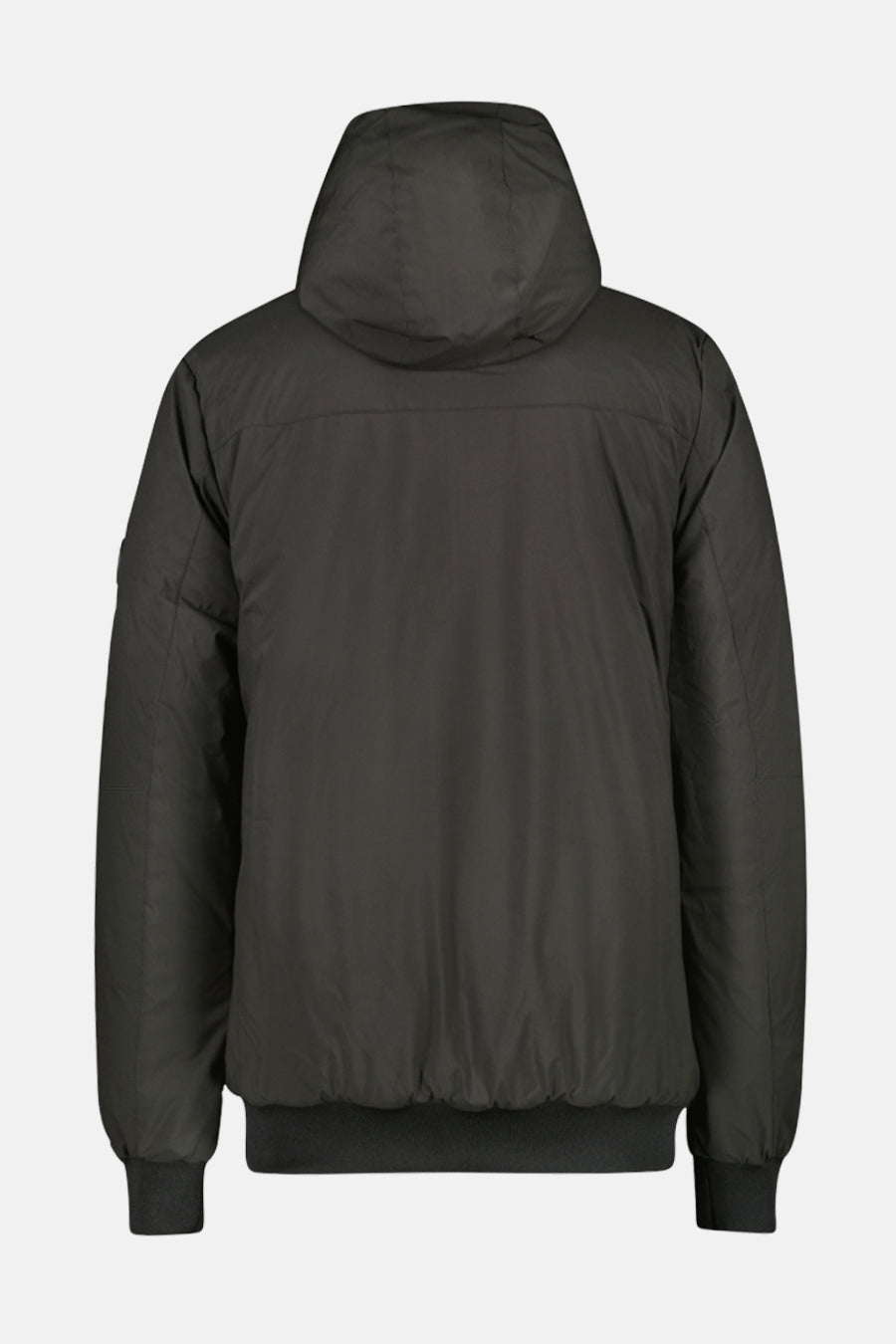 Veste courte - noir - Cars