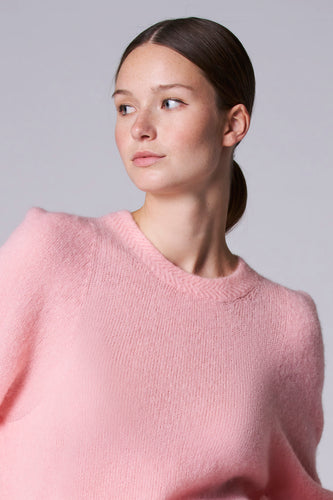 Pull met ronde hals - roze - Astrid Black Label