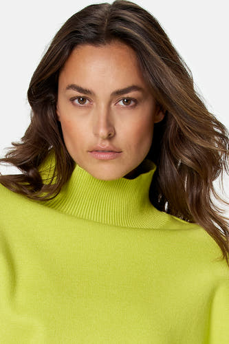 Pull à col roulant - vert