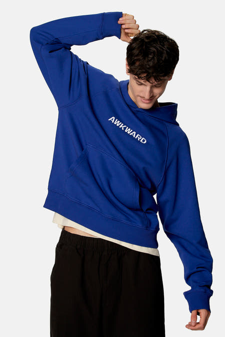 Sweater met kap - blauw