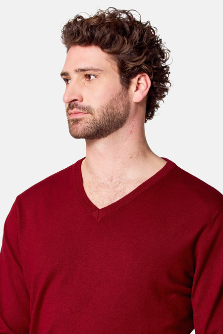 Pull met V-hals - bordeaux