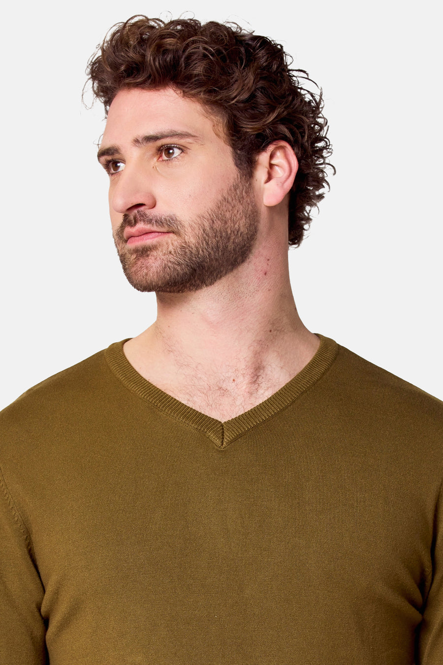 Pull met V-hals - groen - Bruce & Butler