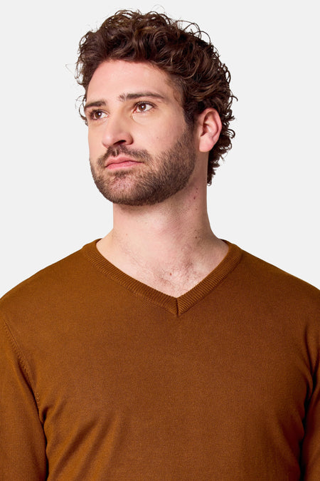 Pull met V-hals - bruin