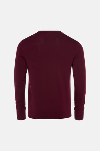 Pull met V-hals - bordeaux