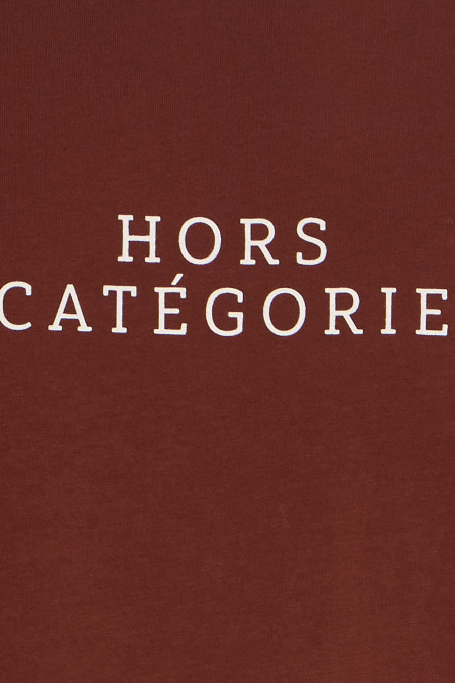 T-shirt met korte mouwen - bruin