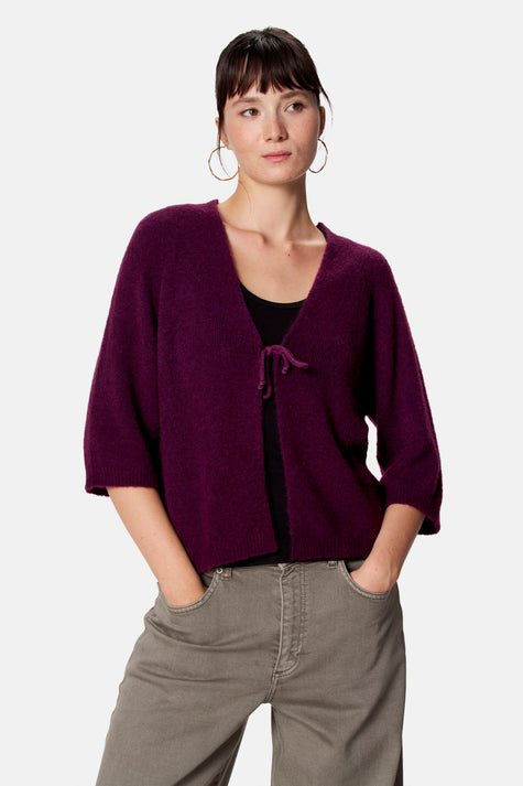 Pull - paars