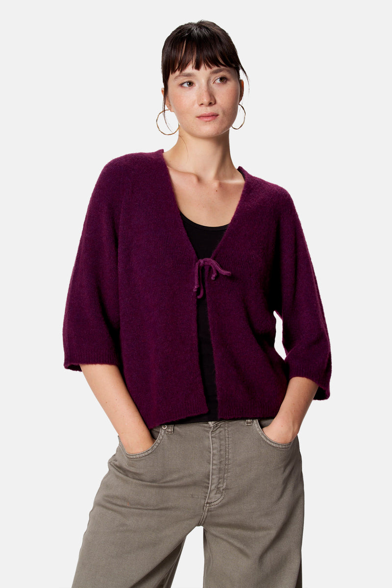 Pull - violet