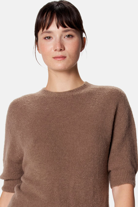 Pull - bruin