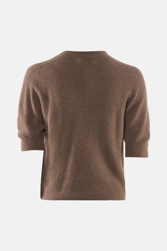 Pull - bruin