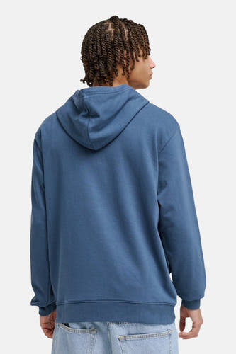 Blauw sweatshirt met kap van DC SHOES, gezien van achteren, met een effen kleur en een relaxte pasvorm.