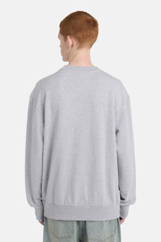 Grijze sweater van ELEMENT, rugaanzicht met lange mouwen en een losse pasvorm.
