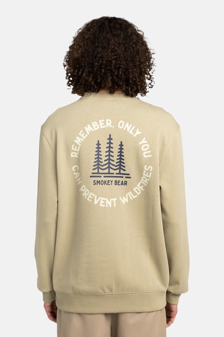 Sweater met ronde hals groen - ELEMENT