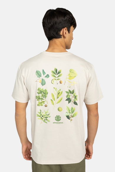T-shirt (manches courtes) Écru - ELEMENT