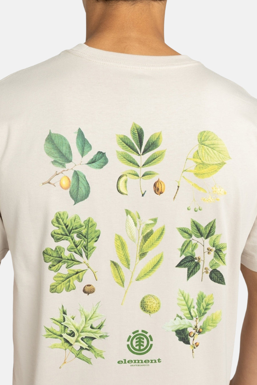 T-shirt écru à manches courtes d'ELEMENT, avec des illustrations botaniques sur le dos.