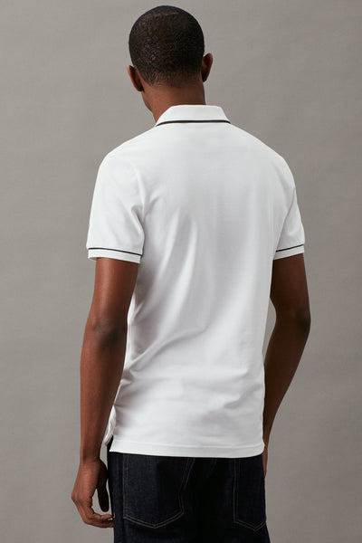 Polo's Wit - Calvin Klein
