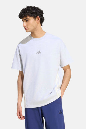 T-shirt met korte mouwen - grijs
