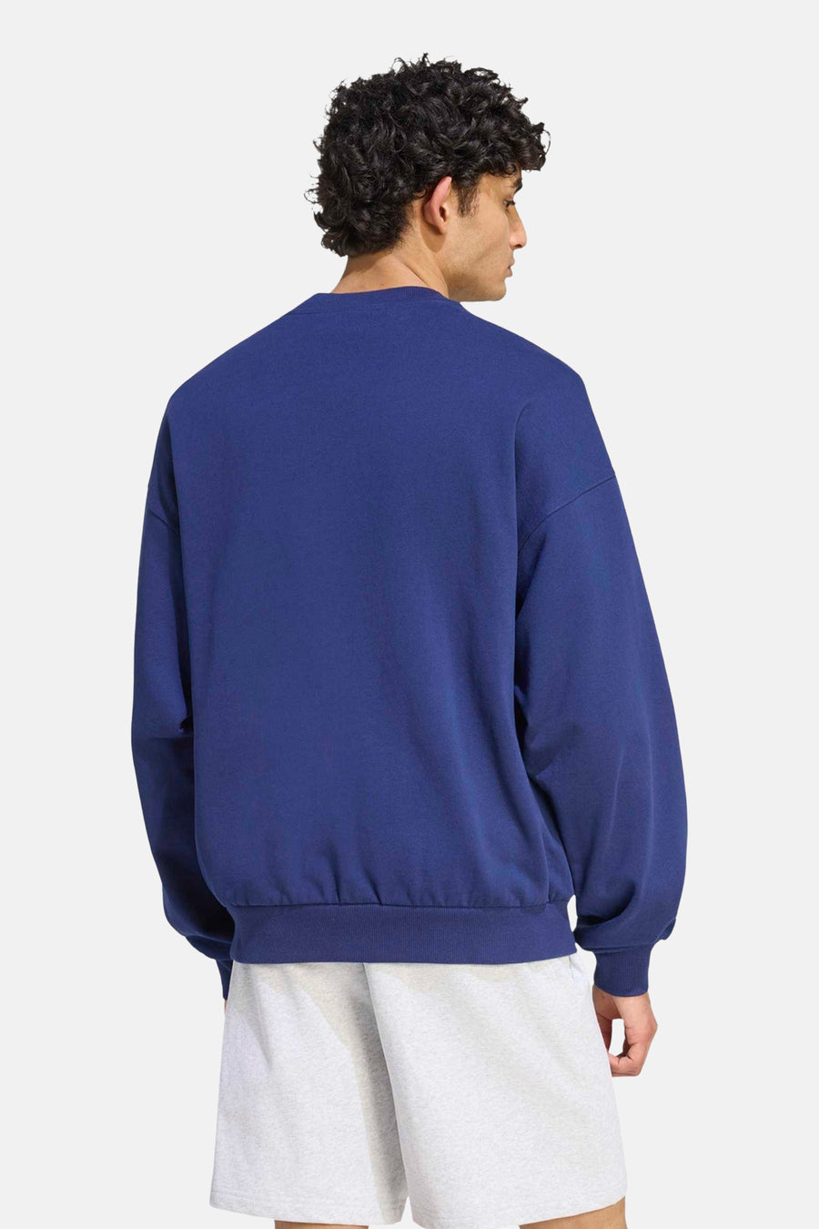 Sweater O-hals - blauw