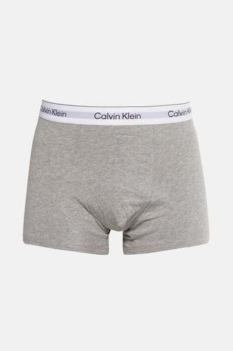 Slip gris Calvin Klein avec une ceinture élastique à logo.