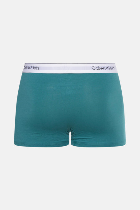 Slip Multicolor - Calvin Klein