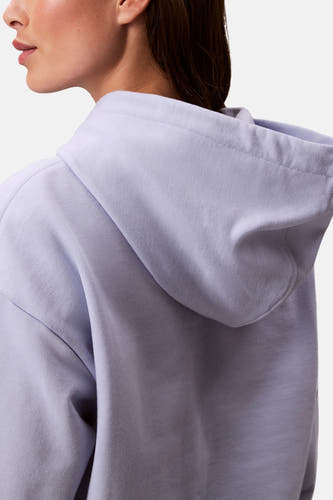 Pull-over marron avec capuche de Calvin Klein, dos avec une texture douce et une coupe décontractée.
