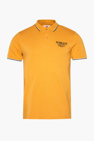 Polo - OCRE
