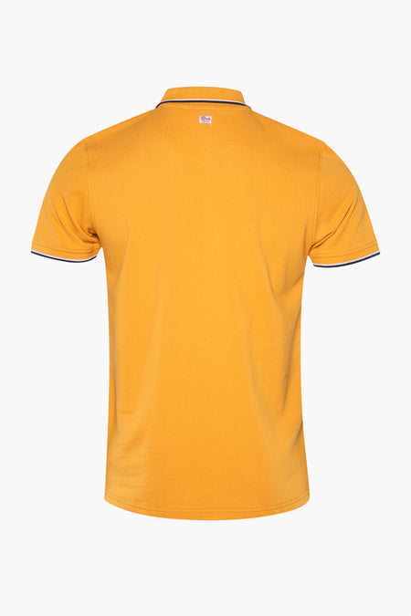Polo - OCRE