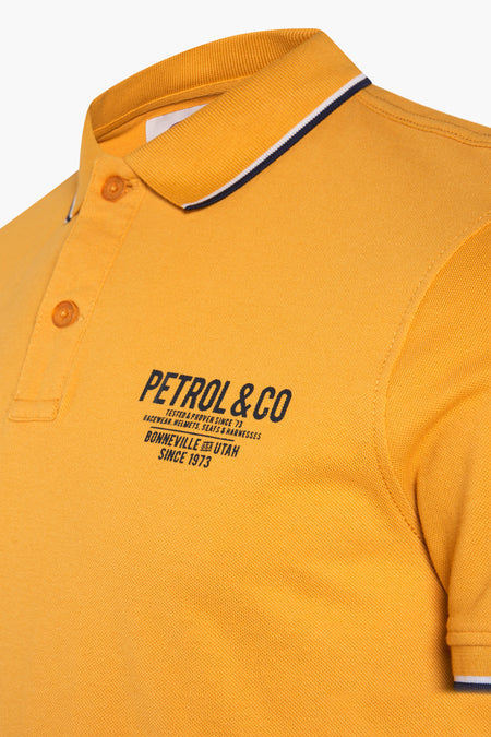 Polo - OCRE