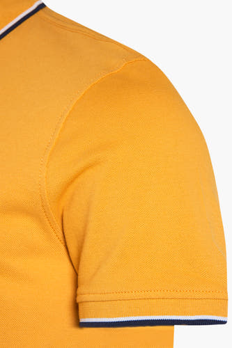 Polo - OCRE