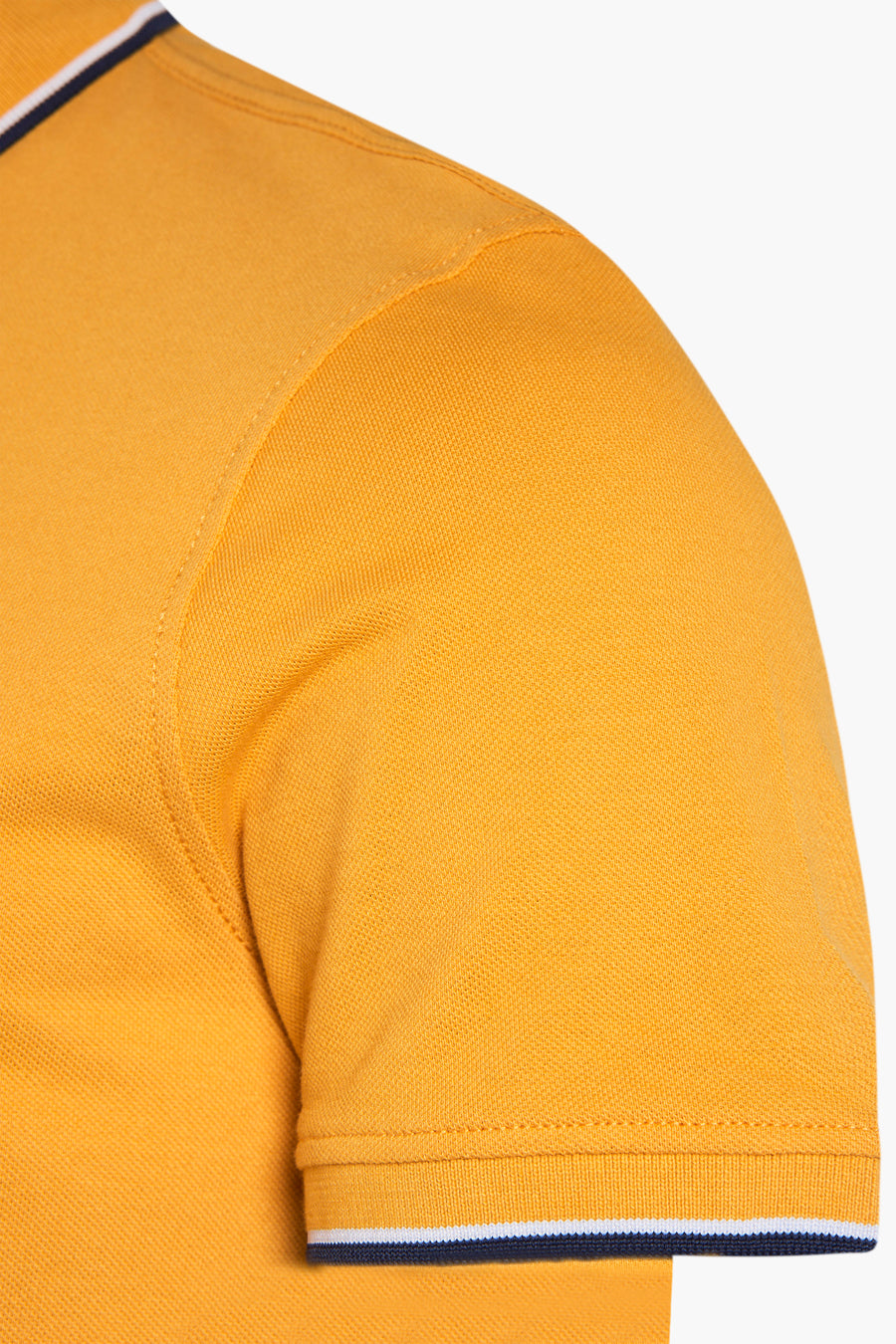 Polo - OCRE
